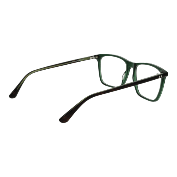 Détails branches – lunette Web WE5418 56098 en