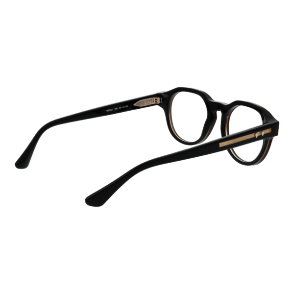 Détails branches – lunette Web WE5421 49050 en