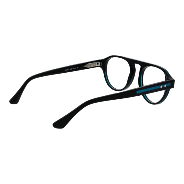 Détails branches – lunette Web WE5433 52005 en