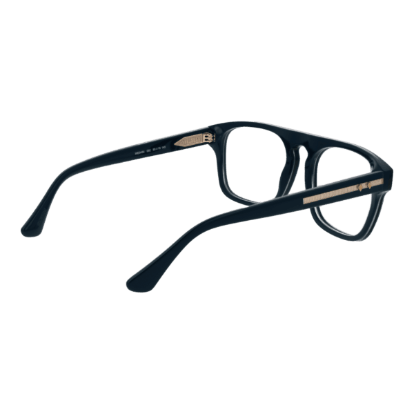 Détails branches – lunette Web WE5434 55092 en