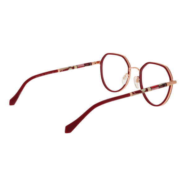 Détails branches – lunette Ana Hickmann AH1456 52A01 en