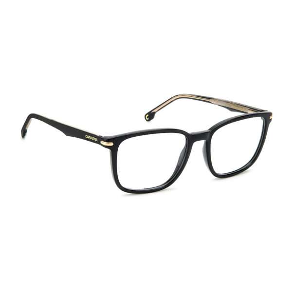 Détails branches – lunette Carrera CARRERA 292 5580717 en