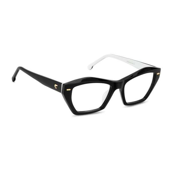 Détails branches – lunette Carrera CARRERA 3053 5380S en Acétate