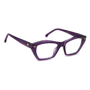 Détails branches – lunette Carrera CARRERA 3053 53B3V en Acétate