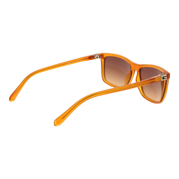 Vue arrière – Guess GU00169 5844F : monture