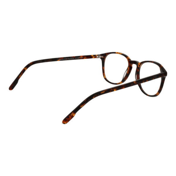 Détails branches – lunette Johnny Loco JLE1602 4925 en Acétate