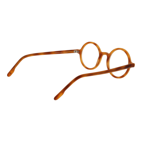 Détails branches – lunette Johnny Loco JLE1814 4507 en Acétate