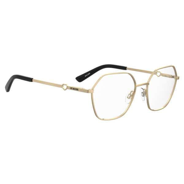 Détails branches – lunette Moschino Love MOL650 5500018 en