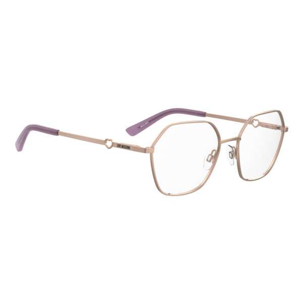 Détails branches – lunette Moschino Love MOL650 55DDB18 en