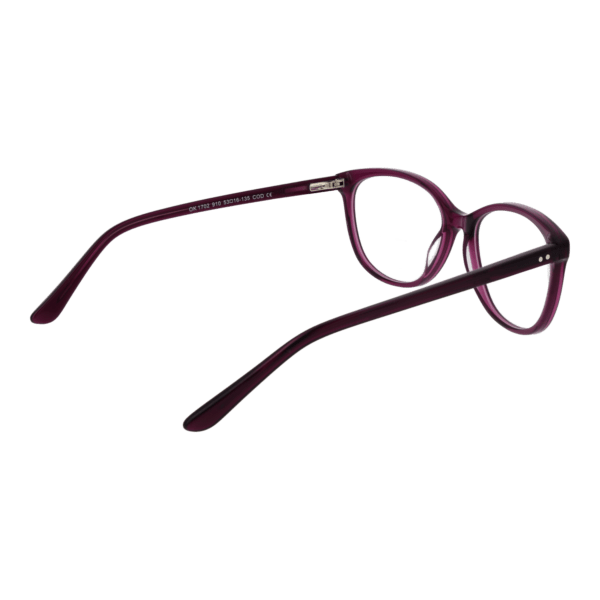Détails branches – lunette OK OK1702 53910 en Acétate