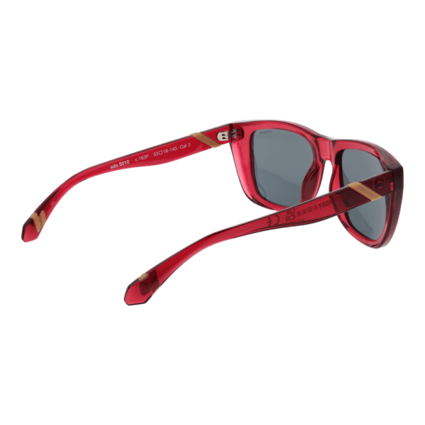 Vue arrière – Superdry SDS 5010 53163P : monture