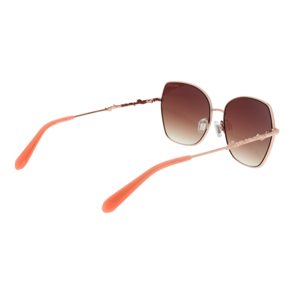 Vue arrière – Superdry SDS 5033 58025 : monture