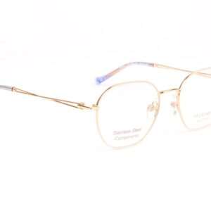 Monture Ana Hickmann HIY1029 4905A – lunettes de vue  Femmes