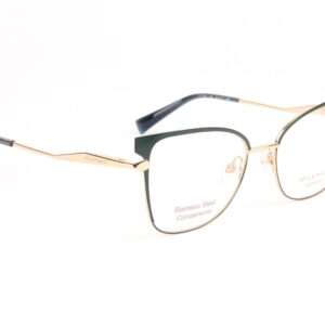 Monture Ana Hickmann HI1253 5412A – lunettes de vue  Femmes