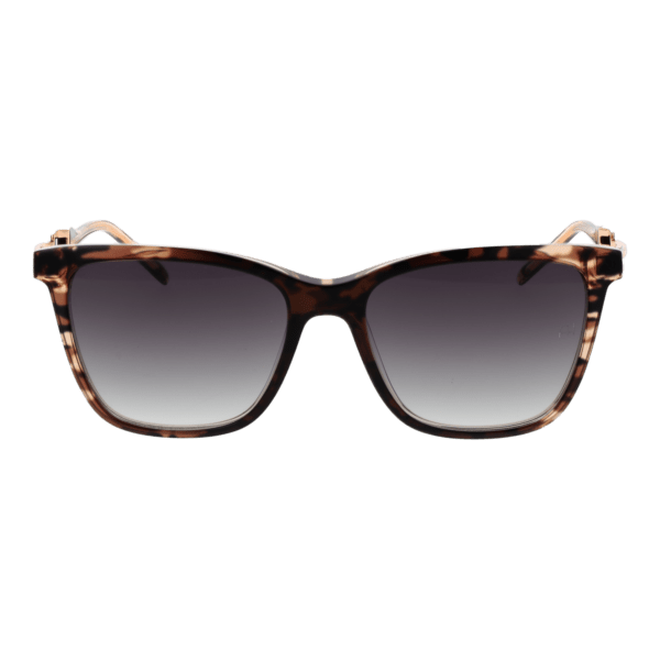 Ana Hickmann AH9348 55C01 – vue de face avec monture  et verres