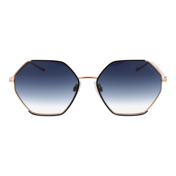 Ana Hickmann HI3181 5709A – vue de face avec monture  et verres