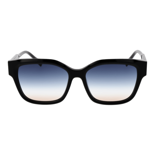 Ana Hickmann HI9188 54A01 – vue de face avec monture et verres