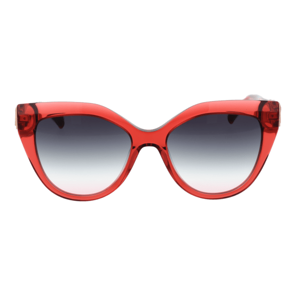 Ana Hickmann AH9402 54T02 – vue de face avec monture  et verres