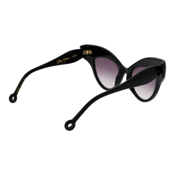 Vue arrière – Hally & Son HS940S01 5001 : monture