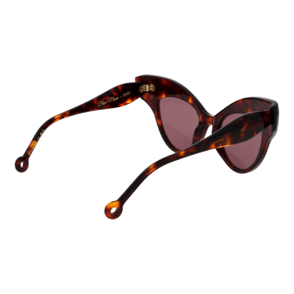 Vue arrière – Hally & Son HS940S02 5002 : monture