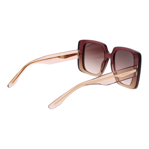 Vue arrière – Trussardi TSW9029 53C01 : monture